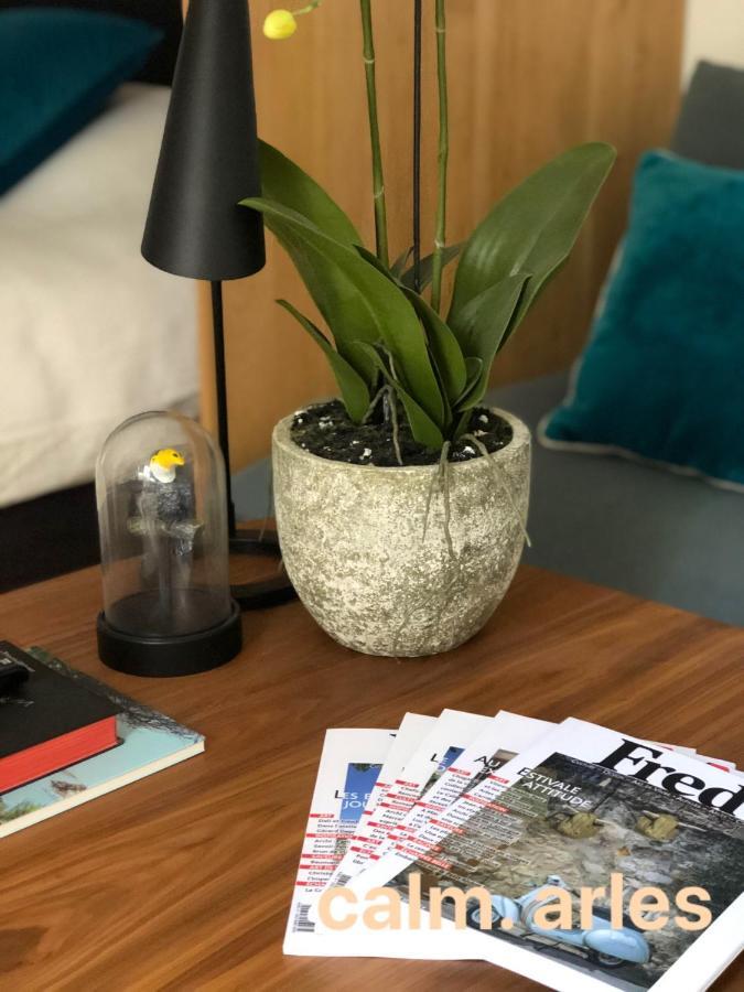 Loft Terrasse, L'Hauture, Arles Ngoại thất bức ảnh